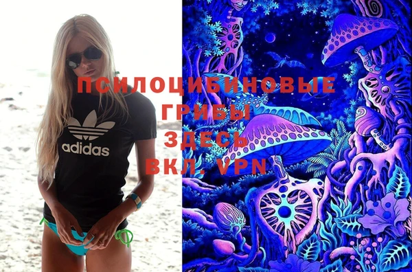 прущая мука Медвежьегорск